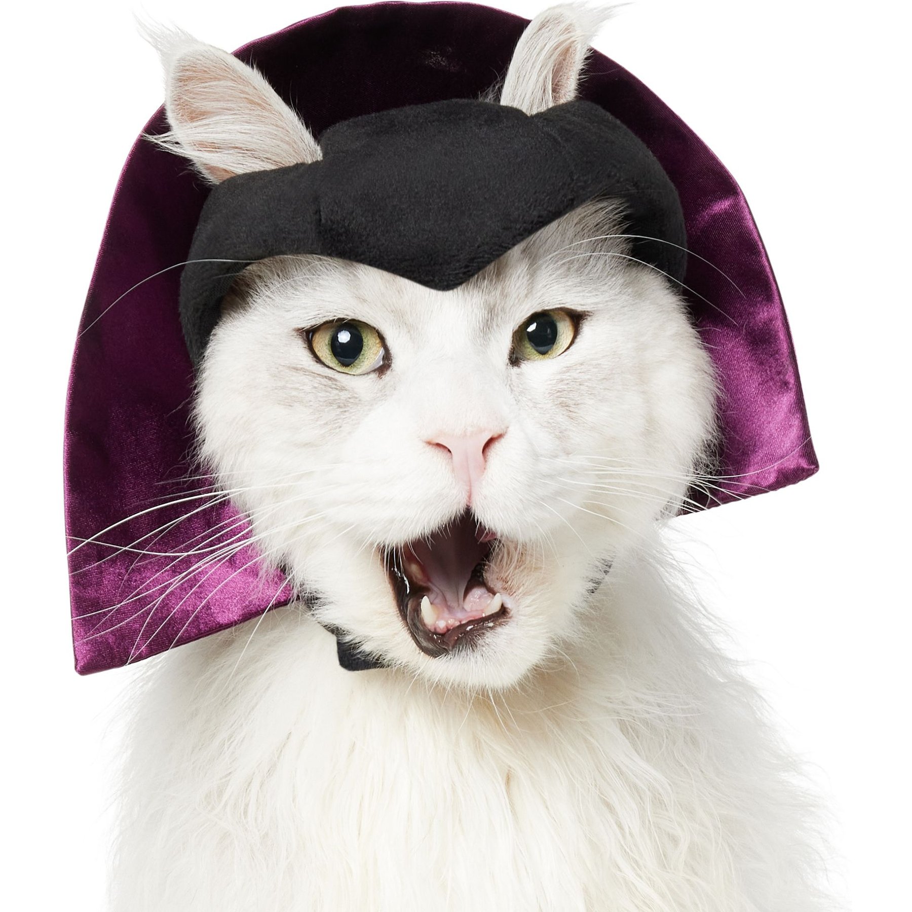 Frisco Vampire Dog & Cat Costume Accessory, X-Small/Small