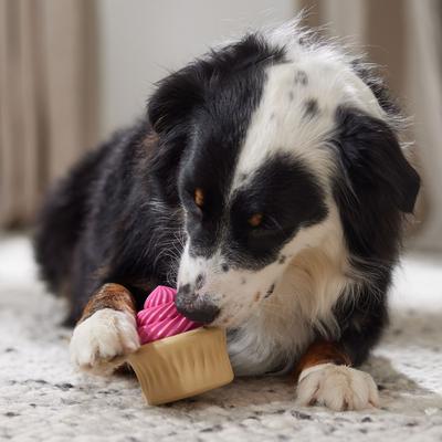 Frisco Vanilla Flavored Cupcake Rubber Chew Dog Toy for Heavy Chewers