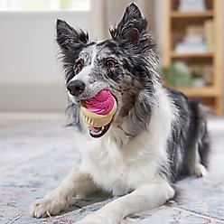 Frisco Vanilla Flavored Cupcake Rubber Chew Dog Toy for Heavy Chewers, Small/Medium slide 2 of 7