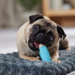 Frisco Vanilla Flavored Popsicle Rubber & Nylon Chew Dog Toy for Heavy Chewers, Small/Medium slide 2 of 7