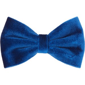 Frisco Velvet Dog Collar With Removable Velvet Bow, Blue, SM - Neck: 10-14-in, Width: 5/8-in