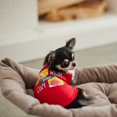 Show full view: Frisco Warm & Cozy Dog & Cat T-Shirt, X-Large slide 6 of 9