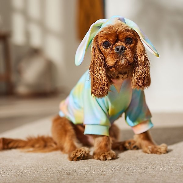 Show full view: Frisco Wash Effect Bunny Ear Dog & Cat Hoodie, Medium slide 8 of 10
