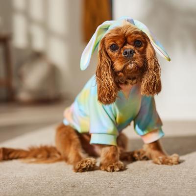 Show full view: Frisco Wash Effect Bunny Ear Dog & Cat Hoodie, Medium slide 9 of 11