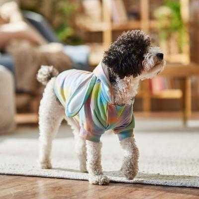 Show full view: Frisco Wash Effect Bunny Ear Dog & Cat Hoodie, Small slide 9 of 11