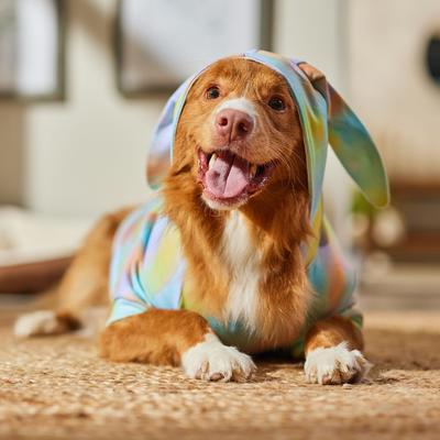 Show full view: Frisco Wash Effect Bunny Ear Dog & Cat Hoodie, X-Large slide 7 of 9