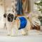 Show in main carousel: Frisco Washable Dog Diaper Male Wraps, Medium, 3 count slide 4 of 7