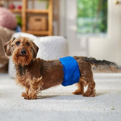 Show full view: Frisco Washable Dog Diaper Male Wraps, Small, 3 count slide 4 of 7