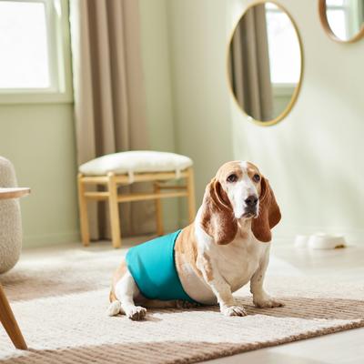 Show full view: Frisco Washable Dog Diaper Male Wraps, X-Large, 3 count, Whales slide 4 of 8