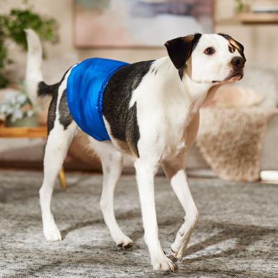 Show full view: Frisco Washable Dog Diaper Male Wraps, X-Large, 3 count slide 4 of 7