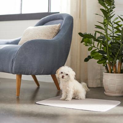 Show full view: Frisco Washable Dog Potty Pads, Beige, 18 x 24-in, Unscented, 2 count slide 5 of 8