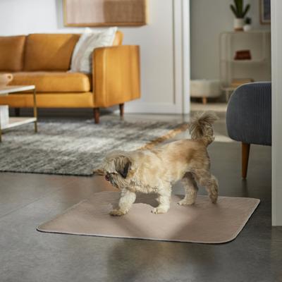 Show full view: Frisco Washable Dog Potty Pads, Beige, 30 x 32-in, Unscented, 2 count slide 4 of 7