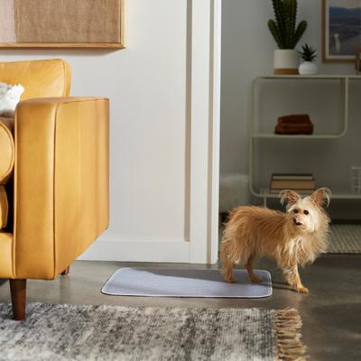 Show full view: Frisco Washable Dog Potty Pads, Gray, 18 x 24-in, Unscented, 2 count slide 4 of 7