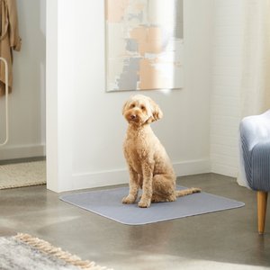 Frisco Washable Dog Potty Pads, Gray, 30 x 32-in, Unscented, 2 count