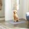 Show in main carousel: Frisco Washable Dog Potty Pads, Gray, 30 x 32-in, Unscented, 2 count slide 5 of 8