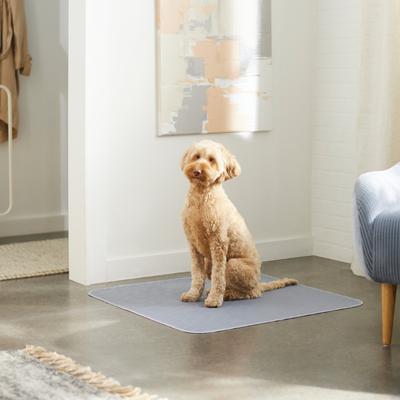Show full view: Frisco Washable Dog Potty Pads, Gray, 30 x 32-in, Unscented, 2 count slide 5 of 8