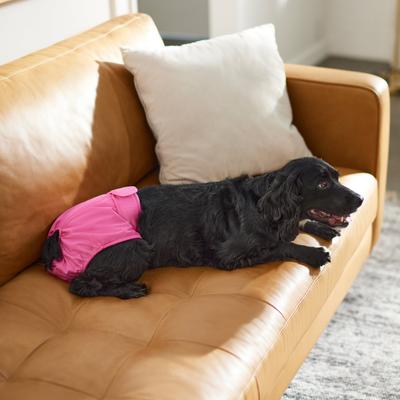 Show full view: Frisco Washable Female Diaper, Large, 3 count, Flamingo slide 5 of 9