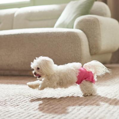 Show full view: Frisco Washable Female Diaper, X-Small, 3 count, Flamingo slide 4 of 8