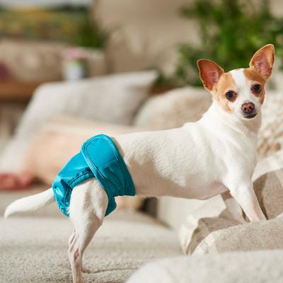Show full view: Frisco Washable Female Dog Diaper, X-Small, 3 count slide 4 of 7