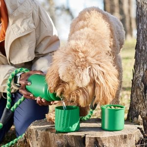 Frisco Water Bottle with Treat Food Container, Green