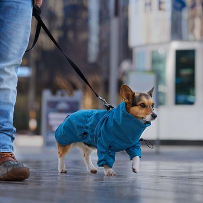 Show full view: Frisco Water Resistant Dog Raincoat, Blue, Medium slide 8 of 11
