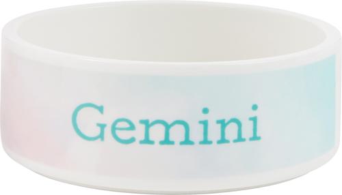 Show full view: Frisco Watercolors Ceramic Personalized Dog Bowl, 2.75 cup slide 1 of 8