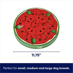 Frisco Watermelon Interactive Puzzle Dog Toy, Level 2 slide 2 of 8