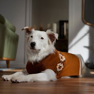 Frisco Western Pattern Dog & Cat Sweater, Medium