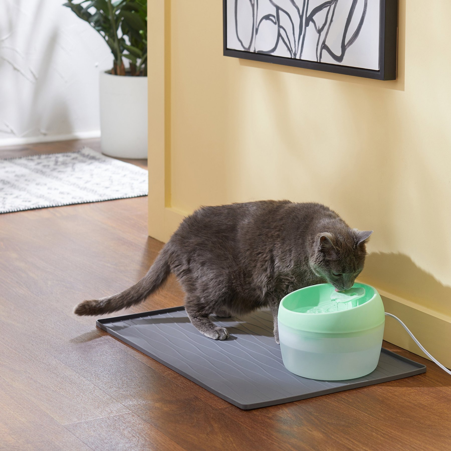 Frisco Whimsical Leaf Round Dog & Cat Fountain, Mint Green, 50-oz, 1 count