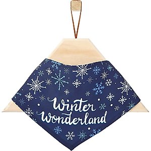 Frisco Winter Wonderland Dog & Cat Bandana, Medium/Large