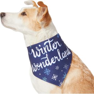 Frisco Winter Wonderland Dog & Cat Bandana, Medium/Large