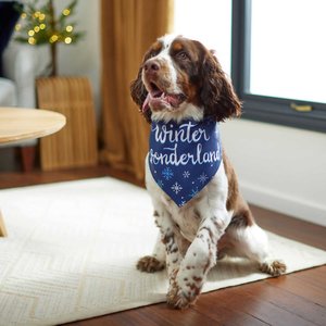 Frisco Winter Wonderland Dog & Cat Bandana, Medium/Large