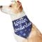 Show in main carousel: Frisco Winter Wonderland Dog & Cat Bandana, X-Small/Small slide 4 of 10