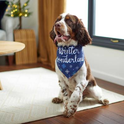 Show full view: Frisco Winter Wonderland Dog & Cat Bandana, X-Small/Small slide 6 of 10