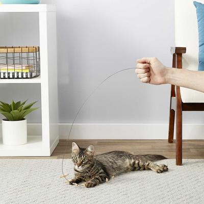 Show full view: Frisco Wire + Fabric Teaser Cat Toy, Neon Bubbles slide 4 of 6