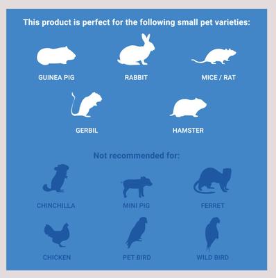 Show full view: Frisco Wire Small Pet Playpen with Door, White, 15-in, Unscented slide 5 of 8