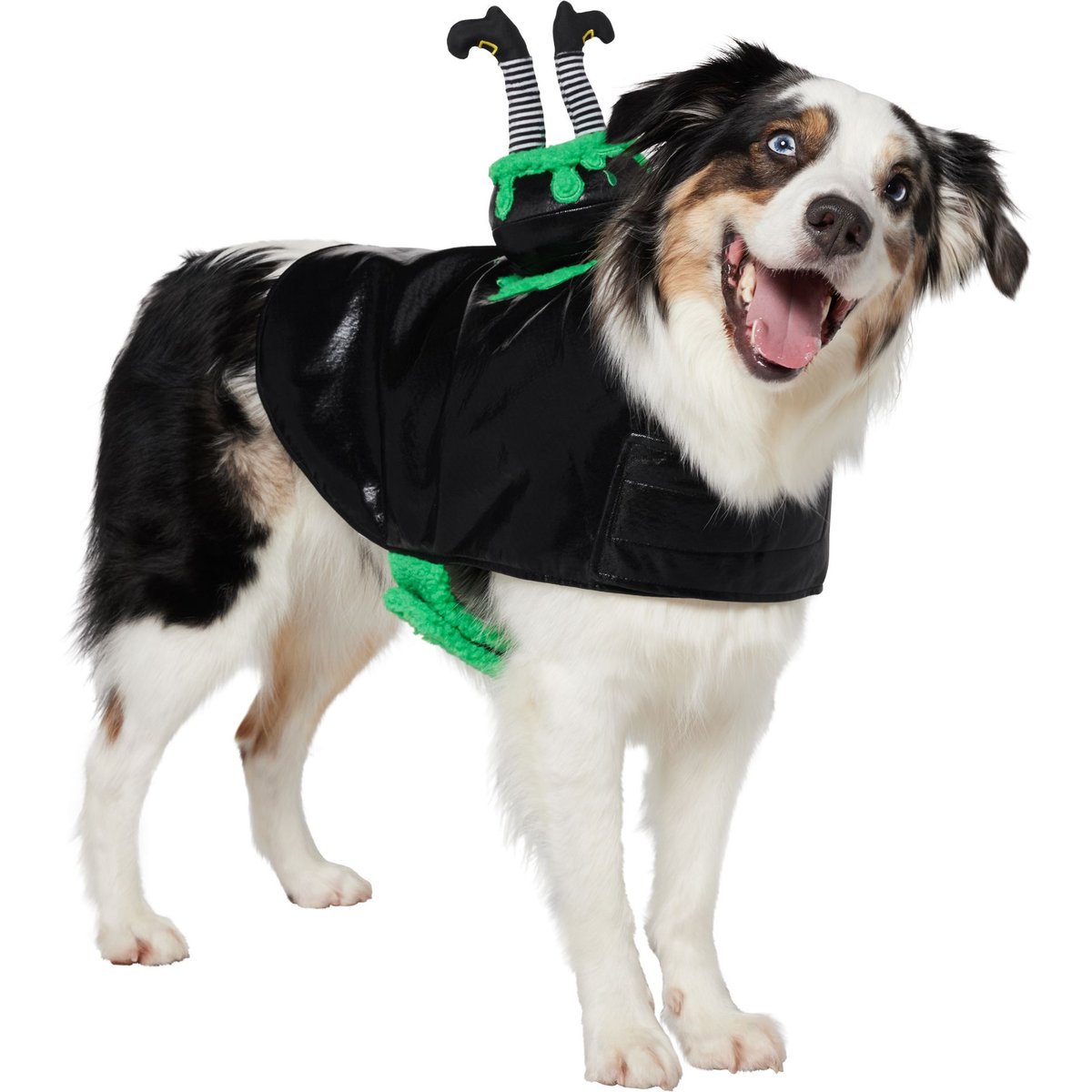 Frisco Witch Cauldron Ride-On Dog Costume with detachable Plush Toy, Large