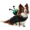Show in main carousel: Frisco Witch Cauldron Ride-On Dog Costume with detachable Plush Toy, Medium slide 1 of 9