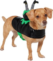 Frisco Witch Cauldron Ride-On Dog Costume with detachable Plush Toy, Small