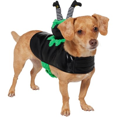 Frisco Frisco Witch Cauldron Ride-On Dog Costume with detachable Plush Toy, Small
