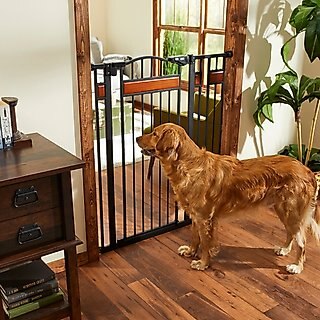 Frisco Wood Accents Extra Tall Auto-close Dog Gate, 41-in, Black slide 1 of 5
