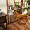 Show in main carousel: Frisco Wood Accents Extra Tall Auto-close Dog Gate, 41-in, Black slide 1 of 8