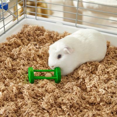 Show full view: Frisco Wooden Prism Small Pet Toy slide 3 of 6