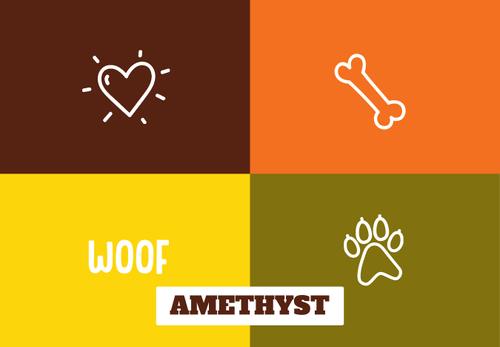 Show full view: Frisco Woof Personalized Dog & Cat Placemat slide 3 of 4