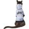 Show in main carousel: Frisco Woof Tiedye Print Dog & Cat Hoodie, Small slide 4 of 10