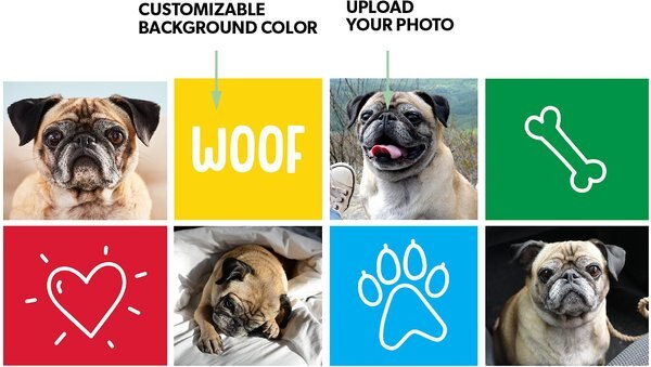 Frisco Woof White Personalized Coffee Mug, 15-oz