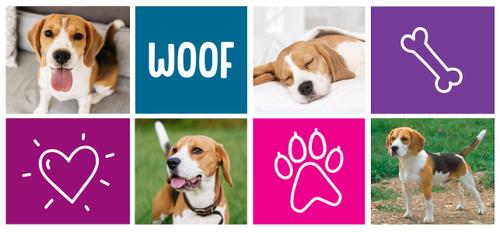 Show full view: Frisco Woof White Personalized Coffee Mug, 15-oz slide 3 of 6