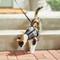 Show in main carousel: Frisco Wrap Cat Harness, Medium: 11 to 16-in chest slide 6 of 9