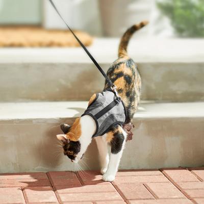 Show full view: Frisco Wrap Cat Harness, Medium: 11 to 16-in chest slide 6 of 9