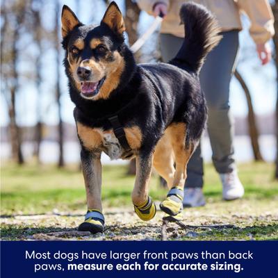 Show full view: Frisco Wrapped Dog Boot, Yellow, Large, 2 count slide 7 of 10